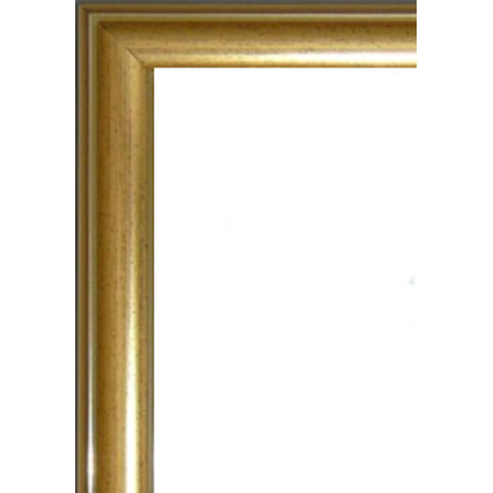 E Range Dome Gold Picture Frame Cross Cut